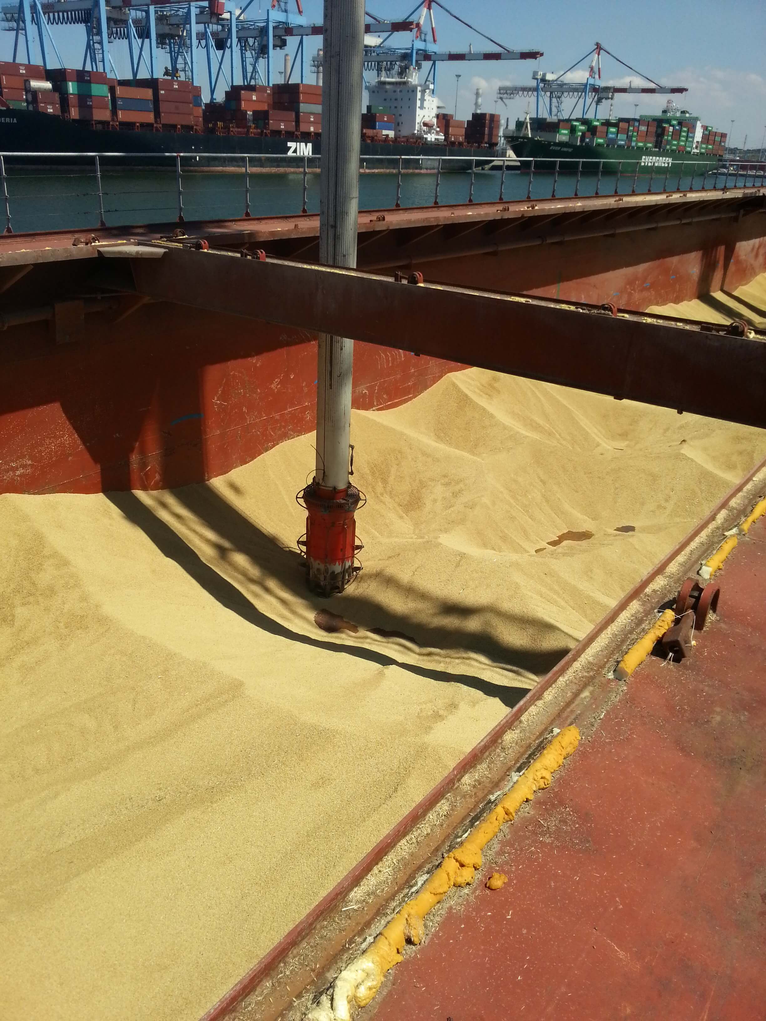 Agency Port Services Husbanding & Protecting